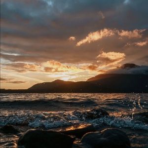 Meet your Posher, ✨my boo kya✨